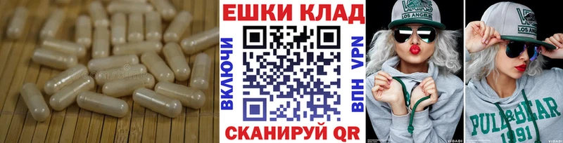 MEGA онион  Пустошка  Экстази Philipp Plein 