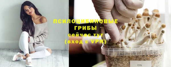 хмурый Алексеевка
