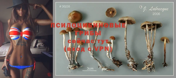 экстази Алексин