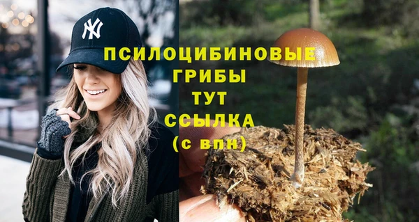 хмурый Алексеевка
