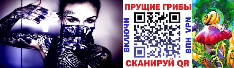 гидра как войти  Пустошка  Псилоцибиновые грибы MAGIC MUSHROOMS 